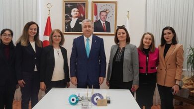 "Dönüştürülmüş Öğrenme Temelli Mesleksel Gelişim Modeli"