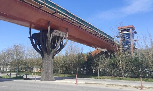 Ormanya yaya üstgeçidinde sona hakikat - Haberois Ormanya yaya üstgeçidinde sona hakikat