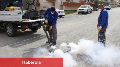 Sineksiz yaz için ağır çaba - Haberois Sineksiz yaz için ağır çaba