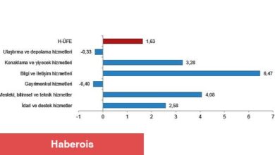 TÜİK: Hizmet Üretici Fiyat Endeksi (H-ÜFE) yıllık %78,86, aylık %1,63 arttı - Haberois TÜİK: Hizmet Üretici Fiyat Endeksi (H-ÜFE) yıllık %78,86, aylık %1,63 arttı