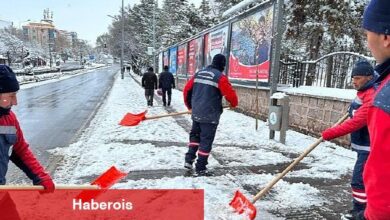 Yol ve Kaldırımlarda Kar Paklığı