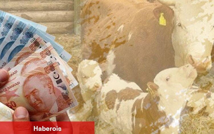 1,4 milyar TL'lik tarımsal destek bugün hesaplarda