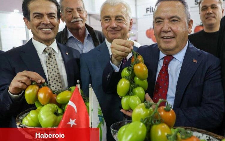 26. Hasyurt Tarım Fuarı'na büyük ilgi - Haberois 26. Hasyurt Tarım Fuarı'na büyük ilgi