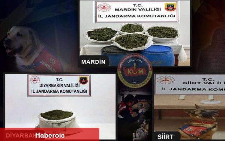 3 ildeki uyuşturucu operasyonu 4 şüpheli yakalandı - Haberois 3 ildeki uyuşturucu operasyonu 4 şüpheli yakalandı