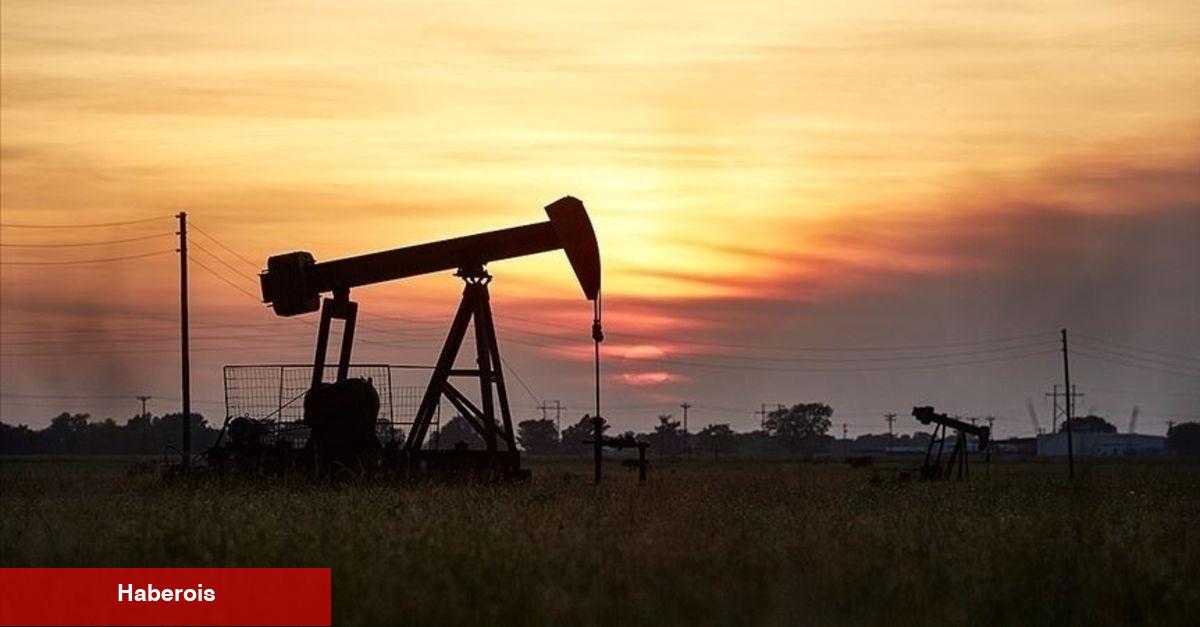 ABD petrol fiyatı varsayımını üst istikametli revize etti