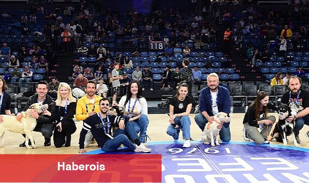 Anadolu Efes, Pawder İş Birliğiyle Depremzede Köpekleri Sinan Erdem Spor Salonu'nda Ağırladı - Haberois Anadolu Efes, Pawder İş Birliğiyle Depremzede Köpekleri Sinan Erdem Spor Salonu'nda Ağırladı
