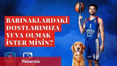 Anadolu Efes, Pawder İş Birliğiyle Depremzede Köpeklerin Ve Barınak Hayvanlarının Sahiplendirilmesine Destek Olacak - Haberois Anadolu Efes, Pawder İş Birliğiyle Depremzede Köpeklerin Ve Barınak Hayvanlarının Sahiplendirilmesine Destek Olacak