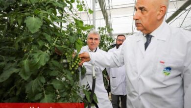 Bakan Kirişci'den Sakarya'ya tam not