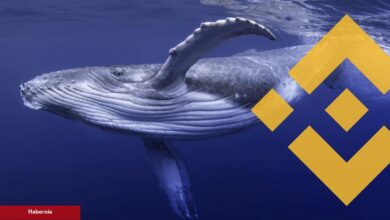 Balinalar, Binance’de Bu Altcoin’den Muazzam Ölçüde Sattı!