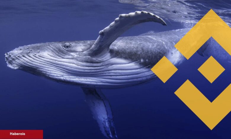 Balinalar, Binance’de Bu Altcoin’den Muazzam Ölçüde Sattı! - Haberois Balinalar, Binance’de Bu Altcoin’den Muazzam Ölçüde Sattı!