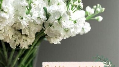 Bayram iletileriniz ile mutluluğunuzu sevdikleriniz ile paylaşın!