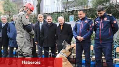Bayrampaşa'da Acil Durum ve Afet Tatbikatı - Haberois Bayrampaşa'da Acil Durum ve Afet Tatbikatı