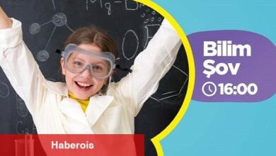 Bi dünya eğlence Ormanya'da