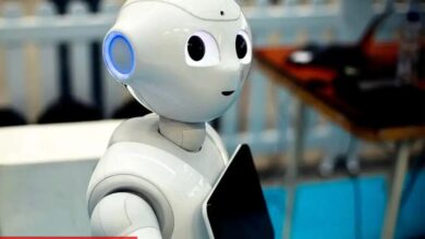 Bir Bot, PEPE ve WOJAK ile Büyük Kâr Kaldırdı! Nasıl mı?