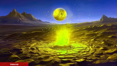 Büyükleri Deviren Radix 12 Ayın Doruğunu Gördü! Sebebi Ne?