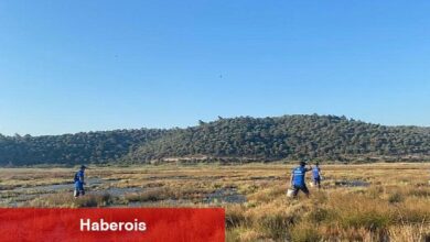 Büyükşehir Vektörle Mücadele Çalışmalarına devam ediyor - Haberois Büyükşehir Vektörle Mücadele Çalışmalarına devam ediyor