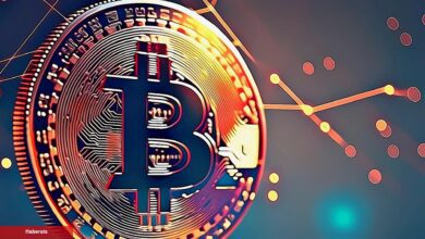Coinlerini Satan Bitcoin Ustası, Yeni Stratejisini Paylaştı!