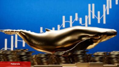 Dev Balina, Milyarlarca Altcoin Sattı! Fiyat Ne Oldu?