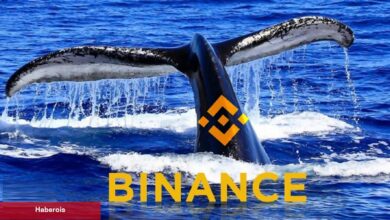Dev Balinalar, Bu Altcoin Varlıklarını Binance’e Boşalttı!