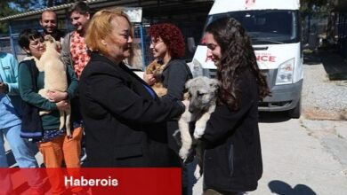 Dünya Veteriner Hekimler Günü dolayısıyla Bodrum Belediyesi Veteriner İşleri Müdürlüğü tarafından kahvaltı organizasyonu gerçekleştirildi