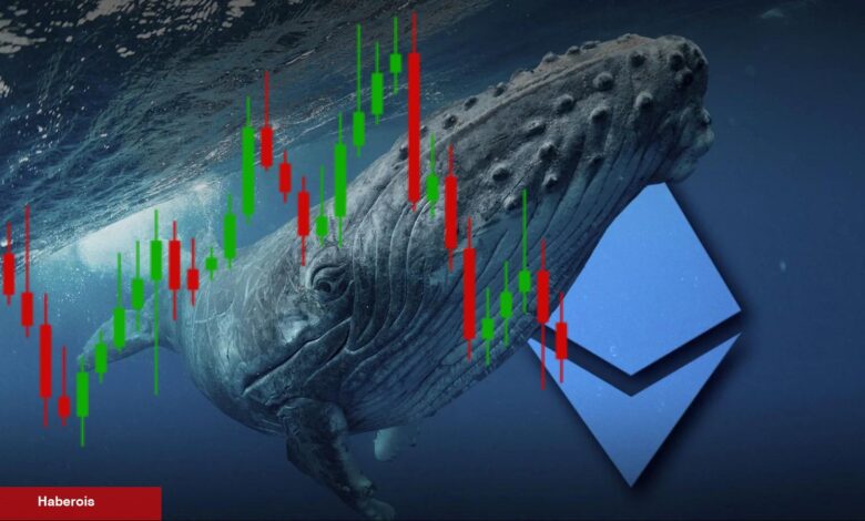 Ethereum Balinaları Satıyor! ETH Düşüşü Sürer mi? - Haberois Ethereum Balinaları Satıyor! ETH Düşüşü Sürer mi?