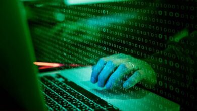 Exit Scam: Bu Altcoin Hesapları Sildi! Fiyat Çöktü!