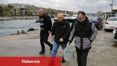 Gebzeli balıkçıların ağına takılan kalkan balığı tekrar denize salındı - Haberois Gebzeli balıkçıların ağına takılan kalkan balığı tekrar denize salındı