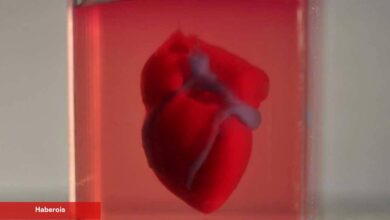 Hapşırırken kalbimiz durur mu? İşte karşılığı - Haberois Hapşırırken kalbimiz durur mu? İşte karşılığı