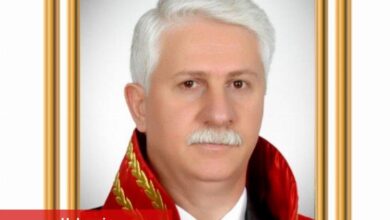 Hasan Tahsin Gökcan tekrar AYM Başkanvekili - Haberois Hasan Tahsin Gökcan tekrar AYM Başkanvekili