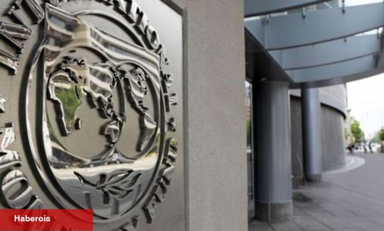 IMF'den global kamu borcu iddiası