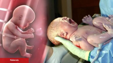 İstenen cinsiyette bebek doğurabilmek mümkün mü? Araştırma sonuçları yüzde 80 oranında... - Haberois İstenen cinsiyette bebek doğurabilmek mümkün mü? Araştırma sonuçları yüzde 80 oranında...