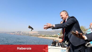 İzmit Körfezine 5 bin balık daha salınacak