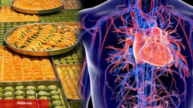 Kalp hastaları Ramazan bayramında nelere dikkat etmeli? Stent taktıranlara bayram uyarısı - Haberois Kalp hastaları Ramazan bayramında nelere dikkat etmeli? Stent taktıranlara bayram uyarısı