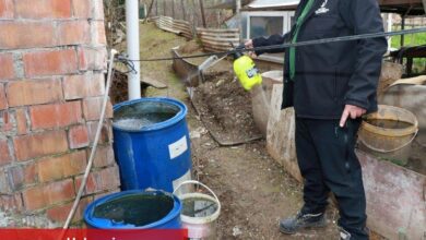 Kocaeli'de sivrisineksiz yaz hazırlığı - Haberois Kocaeli'de sivrisineksiz yaz hazırlığı