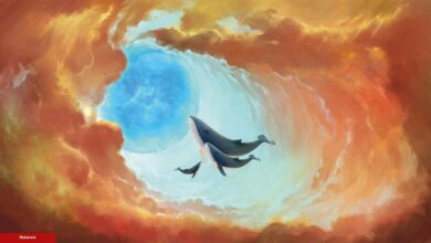 Kripto Para Balinalarının Yeni Avı, Bu 3 Altcoin!