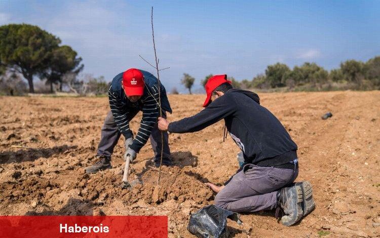 Kuraklıkla tarlada mücadele - Haberois Kuraklıkla tarlada mücadele