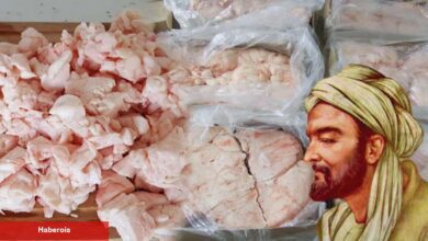 Kuyruk yağı nedir ve kuyruk yağının yararları nelerdir? İbn-i Sina öneriyor