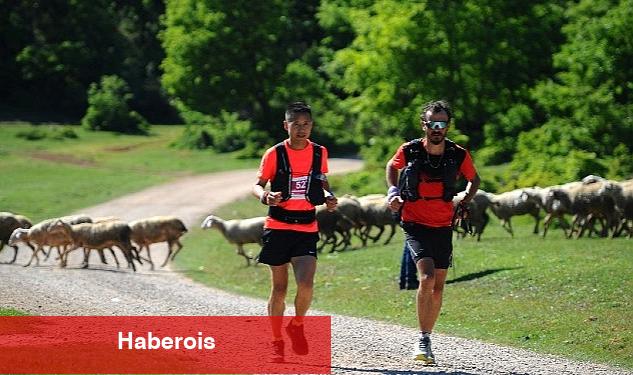 Medeniyetlerin Başkenti İznik'e 11 ülkeden 1500 spor sever geliyor - Haberois Medeniyetlerin Başkenti İznik'e 11 ülkeden 1500 spor sever geliyor