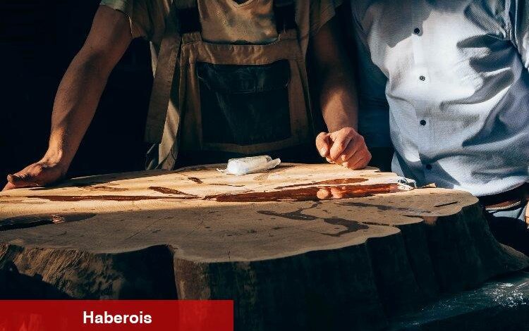 Mobilya ihracatı Ege'nin güç birliğiyle 500 milyon dolara çıkacak - Haberois Mobilya ihracatı Ege'nin güç birliğiyle 500 milyon dolara çıkacak