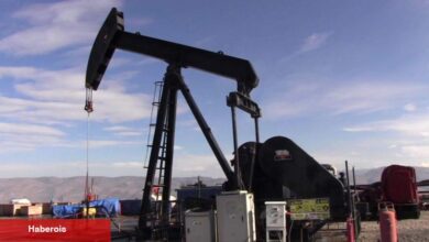 OPEC global petrol talebi öngörüsünü sabit tuttu
