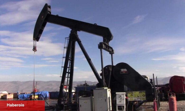 OPEC global petrol talebi öngörüsünü sabit tuttu - Haberois OPEC global petrol talebi öngörüsünü sabit tuttu