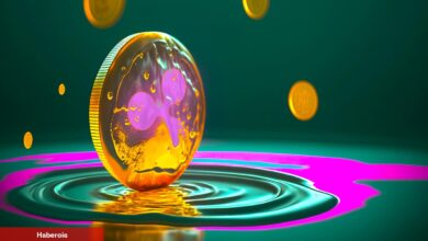 Ripple ve SEC Bugün Mahkemeye Çıkıyor! Beklentiler Ne?