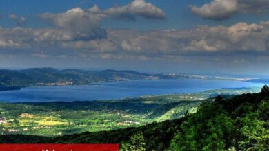 Sakarya'dan müjdeli haber geldi... Maksimum seviyeye yaklaştık - Haberois Sakarya'dan müjdeli haber geldi... Maksimum seviyeye yaklaştık