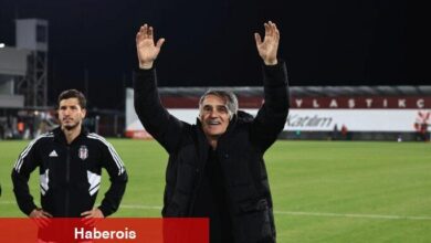 Şenol Güneş: "Kazanırsak farklı olur"