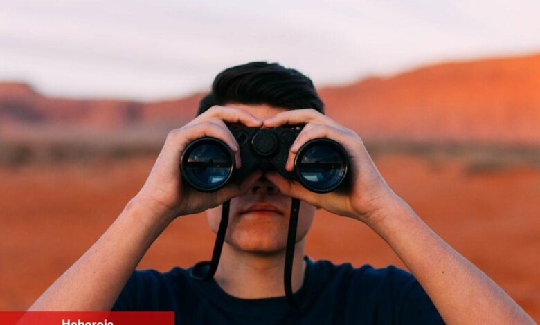 SHIB, ADA, ETH ve Ripple: Haftaya Bu Düzeyler Bekleniyor!