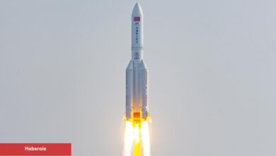 SHIB, ATOM, ADA ve LTC: Haftaya Bunlara Hazır Olun!