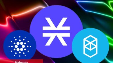 Şu Anda Satın Alınacak 3 Altcoin: ADA, Stacks, FTM! - Haberois Şu Anda Satın Alınacak 3 Altcoin: ADA, Stacks, FTM!