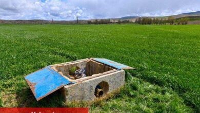 Tarlada tasarruflu sulama dönemi