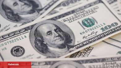 TCMB rezervleri iki haftada 4,5 milyar dolar düştü