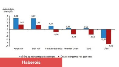 TÜİK: Aylık en yüksek gerçek getiri külçe altında oldu - Haberois TÜİK: Aylık en yüksek gerçek getiri külçe altında oldu